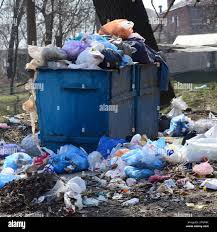 Best Commercial Junk Removal  in Ormond By The Sea, FL