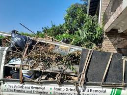 Best Scrap Metal Removal  in Ormond By The Sea, FL