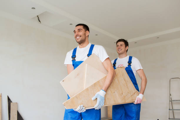 Best Basement Cleanout  in Ormond By The Sea, FL